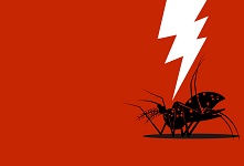 Read: The Fight Against Zika Can’t Wait for a Vaccine
