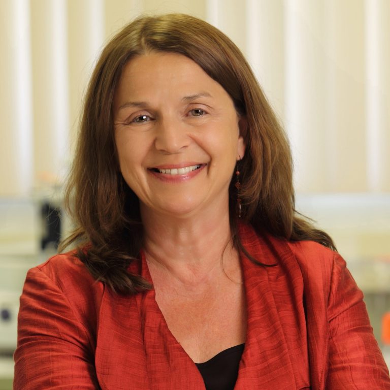 Read: Kukla Vera Joins the Center as Director of External Affairs