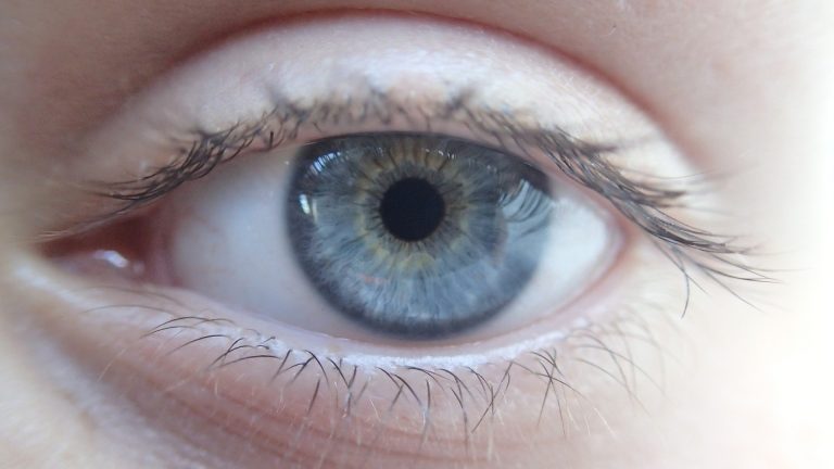Read: Economic Value of Anti–Vascular Endothelial Growth Factor Treatment for Patients With Wet Age-Related Macular Degeneration in the United States
