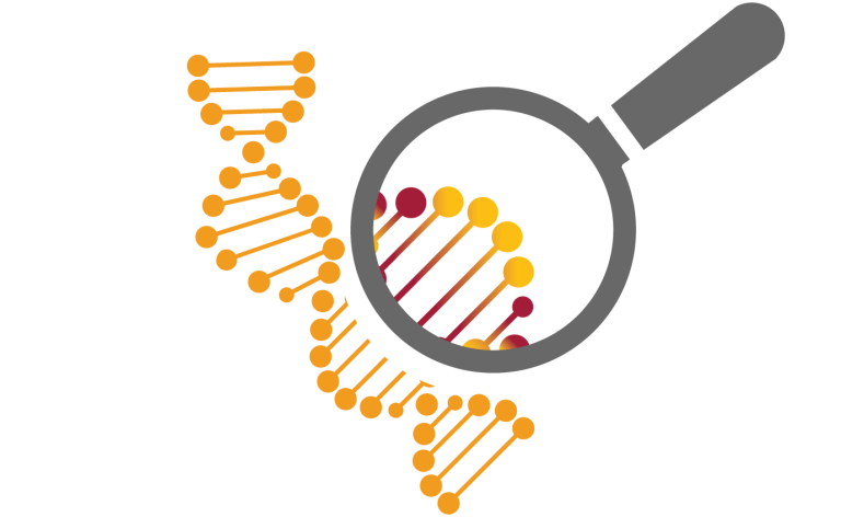 Read: The Economic Case for Public Investment in Stem Cell Research