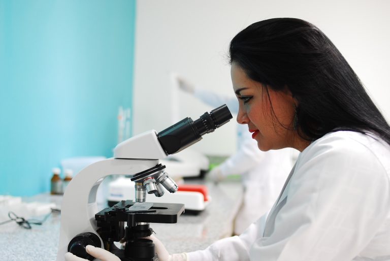 Read: Schaeffer Study Shows Public Investment in Stem Cell Research Makes Economic Sense