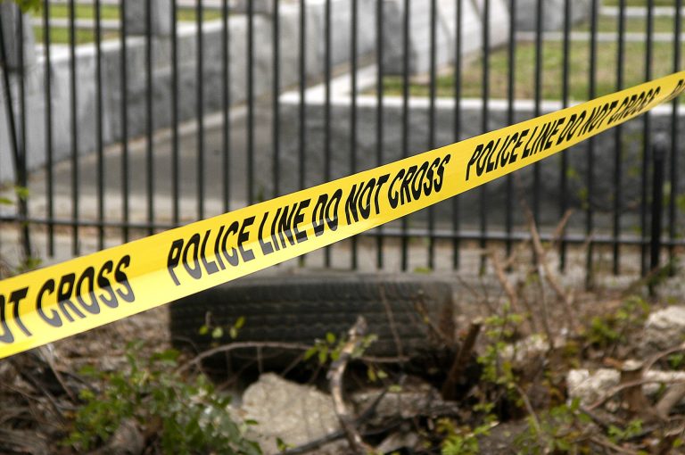 Read: Police Homicides in the United States
