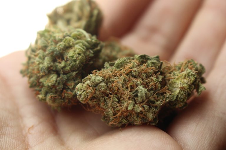 Read: Testimony on Potential Impacts of Recreational Marijuana Policies and Regulatory Structures that Could Reduce its Negative Impacts