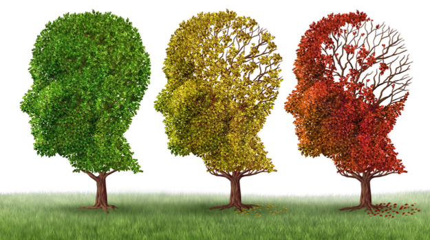 Read: Pharmaceutical Treatment for Alzheimer’s Disease and Related Dementias: Utilization and Disparities