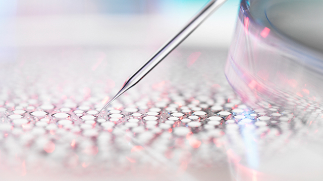 Read: Biomedical Research in the Age of Preventive Medicine